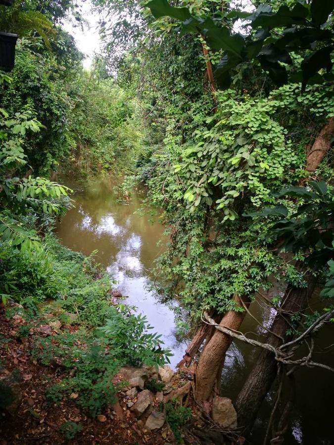 The Creek At Khao Yai Hotel Pakchong Ngoại thất bức ảnh